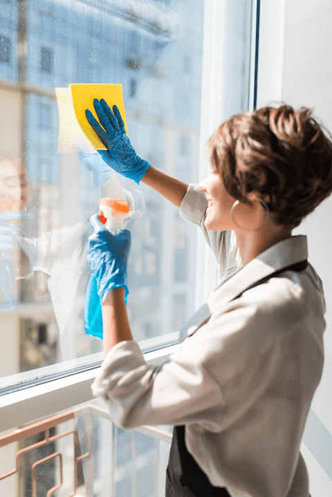 mild household formula development